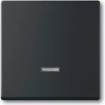 Busch Jaeger 2CKA006599A2968 Elektroantrieb IP20 Schwarz (2CKA006599A2968)