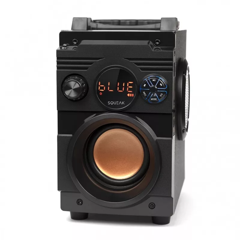Squeak Bassblaster Bluetooth 5.1 Lautsprecher, FM-Radio, MP3-Player SQ1001