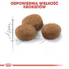 ROYAL CANIN Sterilised 7+ - Trockenfutter für Katzen - 10 kg
