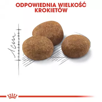 ROYAL CANIN Sterilised 7+ - Trockenfutter für Katzen - 10 kg