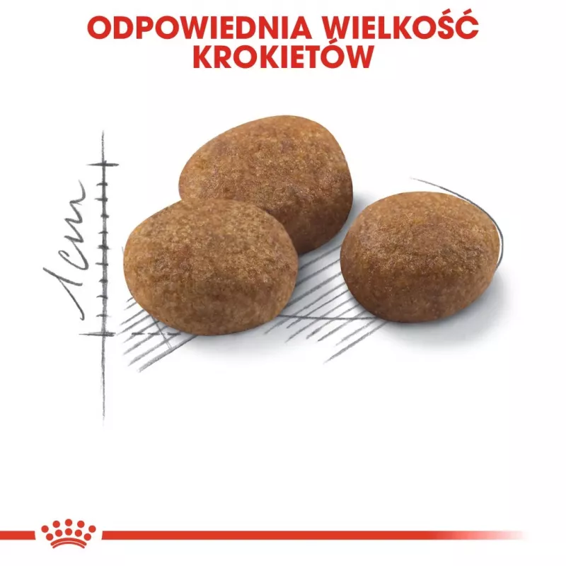 ROYAL CANIN Sterilised 7+ - Trockenfutter für Katzen - 10 kg