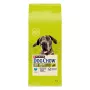 Purina DOG CHOW Large Breed Adult 14 kg Truthahn