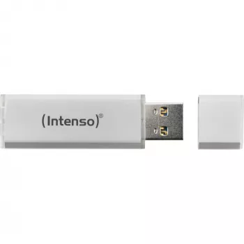 USB-Flash-Laufwerk Intenso 256 GB USB Typ-A 3.2 Gen 1 Silber