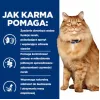 HILL'S PD K/D Kidney + Mobility Huhn - Trockenfutter für Katzen - 3 kg