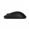 Maus Endgame Gear OP1w 4k Wireless