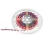 LED-Streifen EUROLITE 50530136, 5 m, 5050 SMD RGB, 12 V