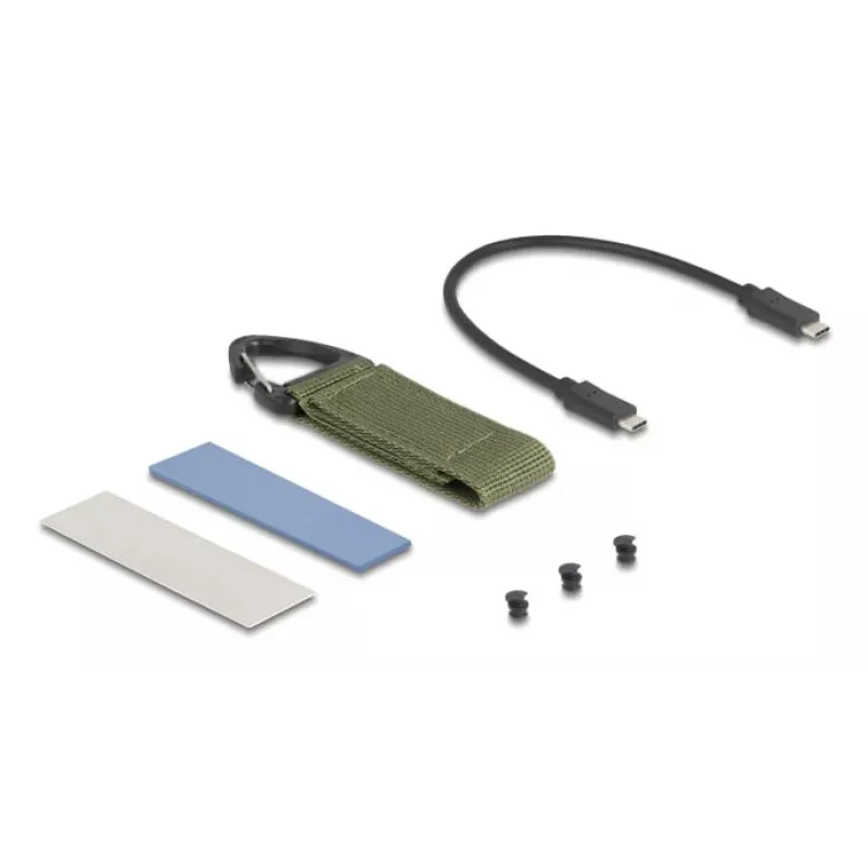 SSD-Gehäuse DeLOCK 42033 Grau M.2 PCI Express 40 Gbit/s