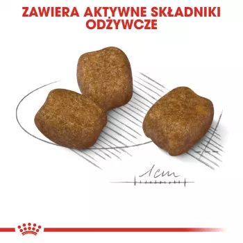 Trockenfutter für Hunde Royal Canin Mini Dental Care 3 kg — ausgewachsene kleine Rassen, Geflügel, Zahnpflege