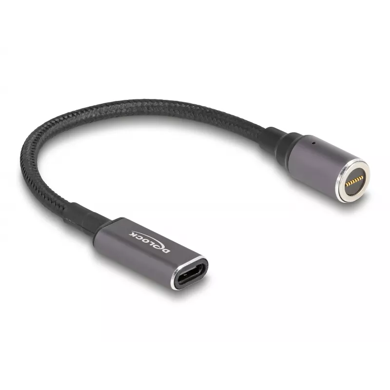 Netzkabel DeLOCK 80781 0,15 m USB-C 8-Pin 20 V
