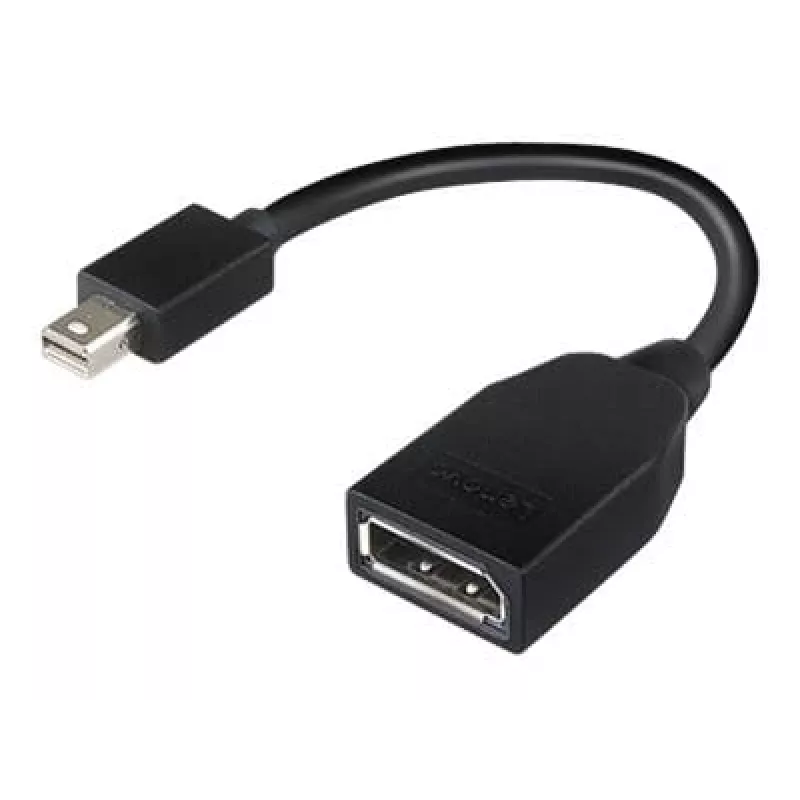 Lenovo 4X90L13971 DisplayPort-Kabel Mini DisplayPort Schwarz