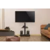 Gembird TVS-75S-02 TV-Bodenständer mit Rollen, 37 - 75, schwarz