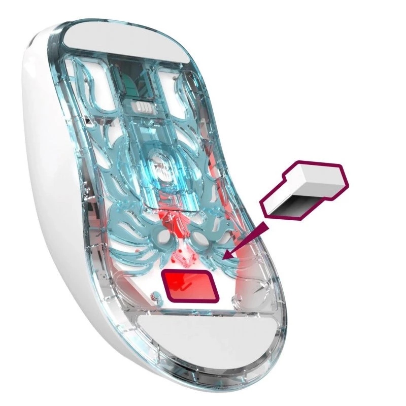 WIRELESS Maus DEFENDER FAME GM-516 RF+BT 10000DPI 6P Weiß