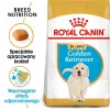 Royal Canin Golden Retriever Puppy Trockenfutter für Hunde, 12 kg