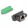 DeLOCK RJ45-Stecker auf Klemmleisten-Adapter 2-polig 66589 Schwarz Grün
