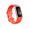 Charge 6 | Fitness-Tracker | NFC | Armband - Koralle; Gehäuse - Champagner-Gold Aluminium