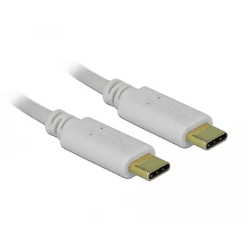 Delock - USB-C-/Stromkabel - 24-poliger USB-C-Stecker auf 24-poligen USB-C-Stecker - 5 A - 15 cm - USB-Stromversorgung (100 W), unterstützt Power Delivery 2.0 - Weiß (85357)