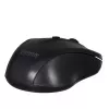 Extreme XM104K Maus USB Typ-A Optisch 1000 DPI Rechtshändig