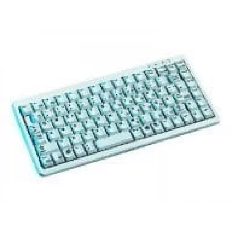 CHERRY Compact G84-4100, hellgrau, CH-Tastatur USB + PS/2