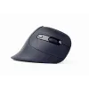 Gembird MUSW-ERGO-03 Maus Home Rechtshänder RF Kabellos Optisch 1600 DPI