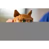 LEGO IDEAS 21376 Orange Cat