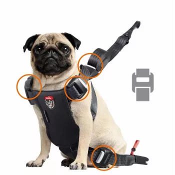 Hundegeschirr ZOLUX TRAVEL SAFE S, Größe S, rot