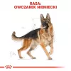 Trockenfutter für Hunde Royal Canin German Shepherd Adult, 11 kg — große Rasse, Geflügel, 24 % Protein, 19 % Fett