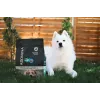 ADDVENA Taste Sensations Adult Medium/Large Turkey - Trockenfutter für Hunde - 10kg