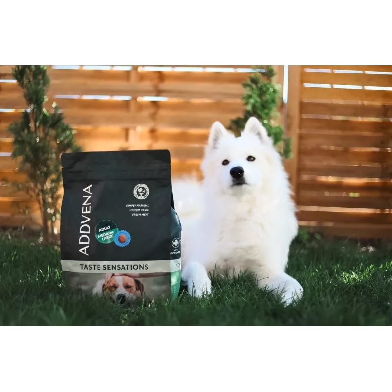 ADDVENA Taste Sensations Adult Medium/Large Turkey - Trockenfutter für Hunde - 10kg
