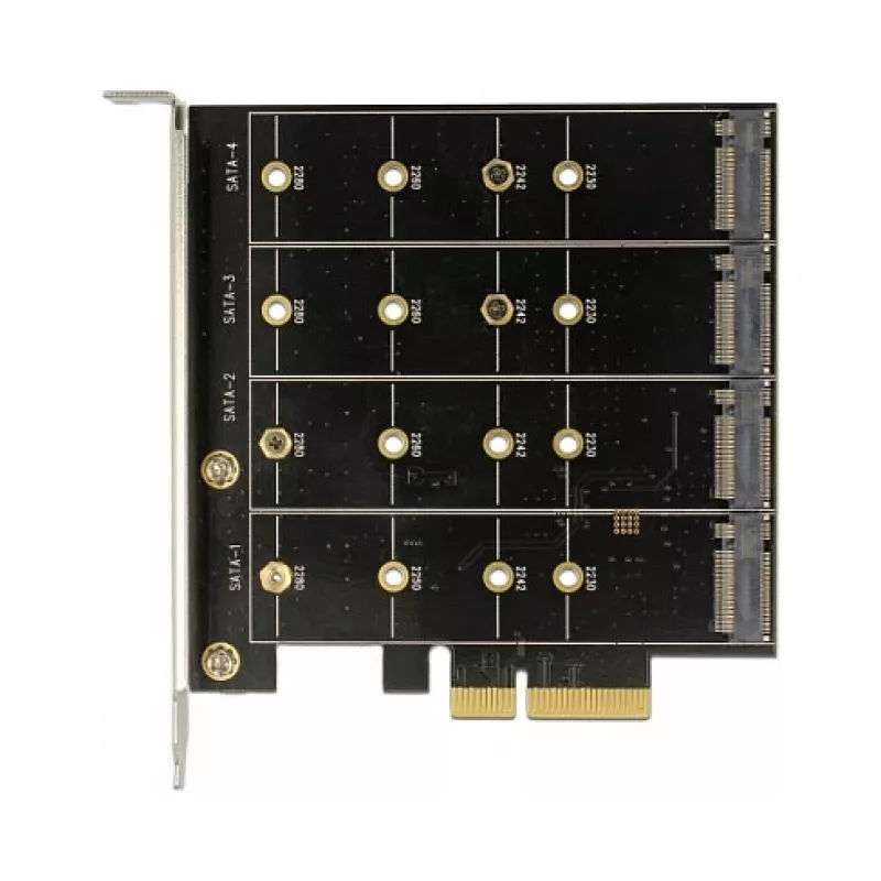 Schnittstellenkarte DeLOCK 89888