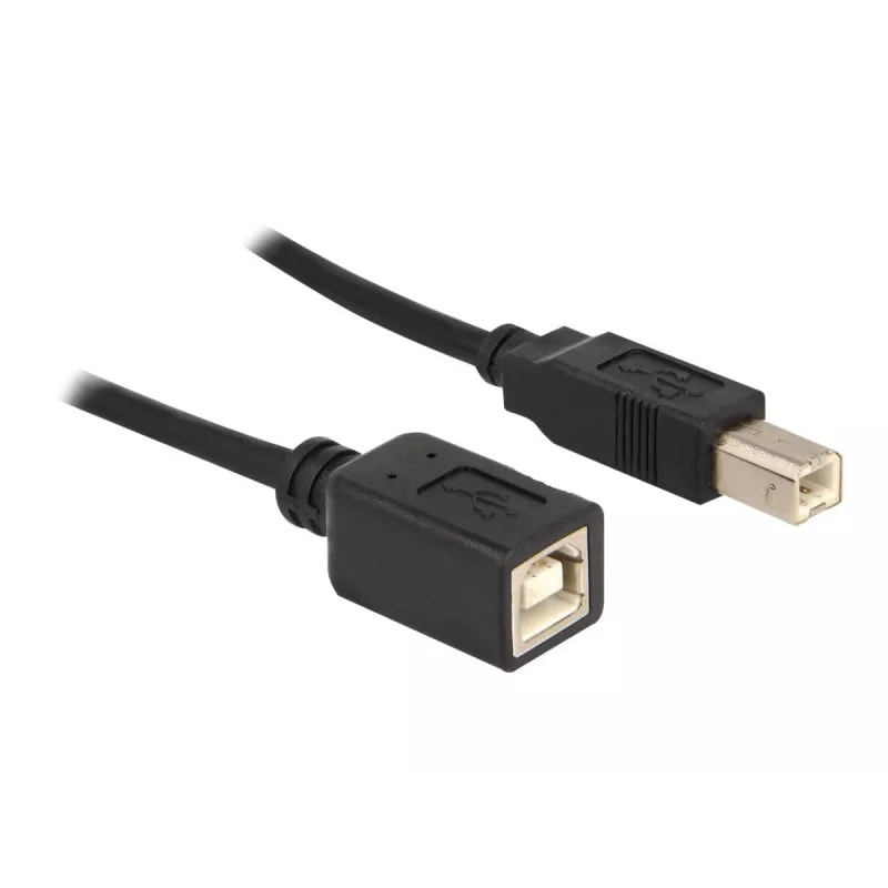 USB-Kabel DeLOCK USB2.0-B 2m USB B Schwarz