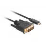 Videokabel-Adapter LANBERG CA-CMDV-10CU-0030-BK, USB Type-C auf DVI-D, 3 m, schwarz
