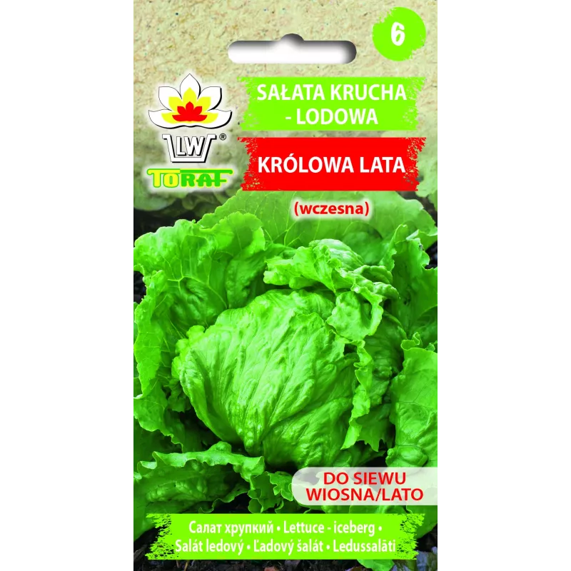 Crisp Ice Lettuce Summer Toraf Gemüsesamen, 1g-Packung