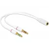 Audiokabel DeLOCK 65585 0,2 m 2 x 3,5 mm Stecker auf 3,5 mm Buchse Weiß