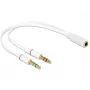 Audiokabel DeLOCK 65585 0,2 m 2 x 3,5 mm Stecker auf 3,5 mm Buchse Weiß