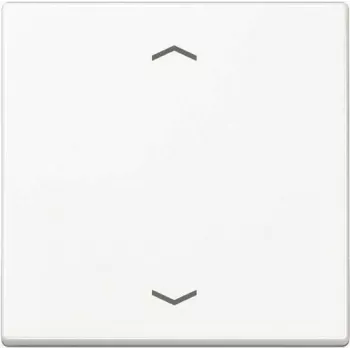 JUNG A 1700 P WW Steuertaste Standard Pfeilsymbole A1700PWW