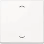 JUNG A 1700 P WW Steuertaste Standard Pfeilsymbole A1700PWW