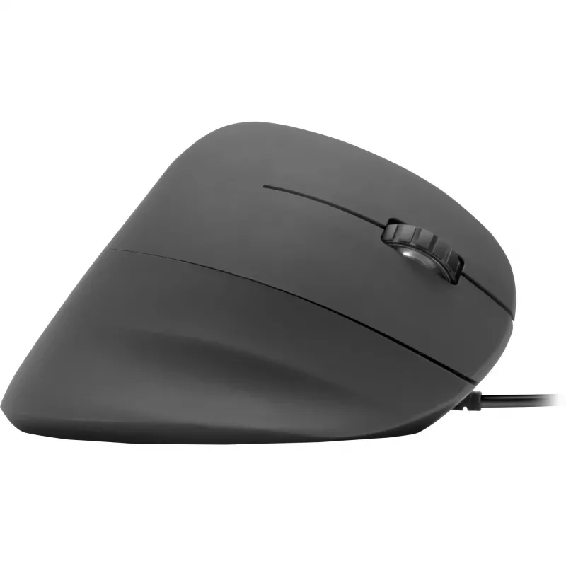 Maus SPEEDLINK PIAVO Office USB Typ-A Optisch 2400 DPI