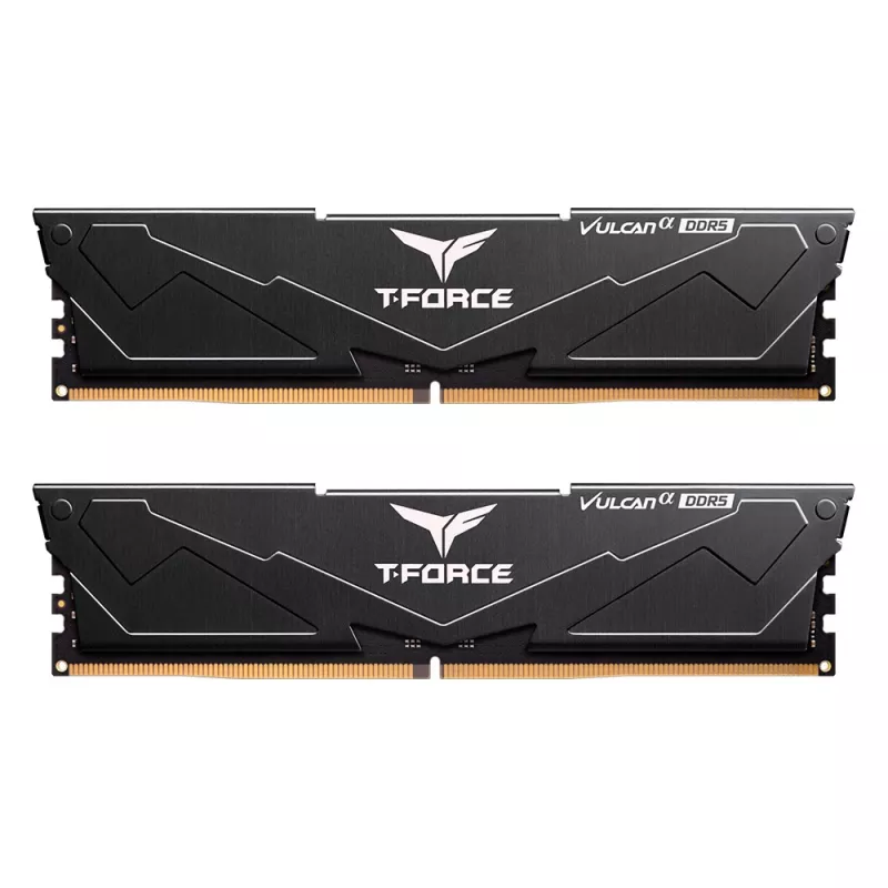 Team Group VULCAN FLABD516G6000HC3001, 16 GB, 1 x 16 GB, DDR5, 6000 MHz, 288-Pin DIMM, Schwarz