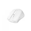 Maus DICOTA D31659W RF Wireless USB Typ-C