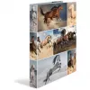Ringbuch HERMA 19429 A4 Mehrfarbig