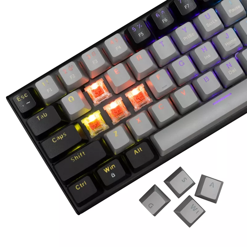 Mechanische Gaming-Tastatur White Shark WAKIZASHI-2 US-Layout grau-schwarz mit roten Switches
