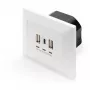 DIGITUS DA-70618 - USB-Ausgang - USB, USB Typ C - 2 USB-Anschlüsse, 1 USB-C-Buchse - 3,1 A - RAL 9003, Signalweiß