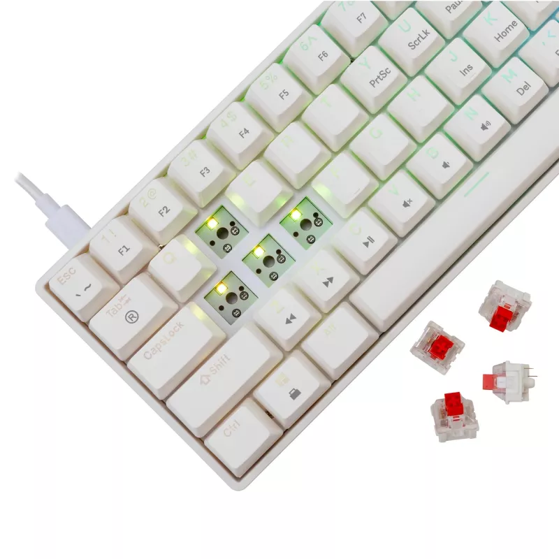 Kabelgebundene mechanische Tastatur White Shark Shinobi-2 (GK-004211) — US-Layout, Red-Schalter, weiß