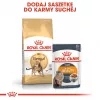 Royal Canin Bengal Adult Trockenfutter für Katzen 2 kg — Geflügel, 40 % Protein, 18 % Fett, Verdauungs- & Hautpflege
