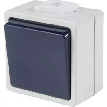 as - Schwabe 62450 Aufputzschalter IP54 Grau (62450)
