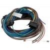 TOMTOM Webfleet I/O-Kabel Passthrough Thermograph - ColdChain, Modell 10834