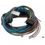 TOMTOM Webfleet I/O-Kabel Passthrough Thermograph - ColdChain, Modell 10834