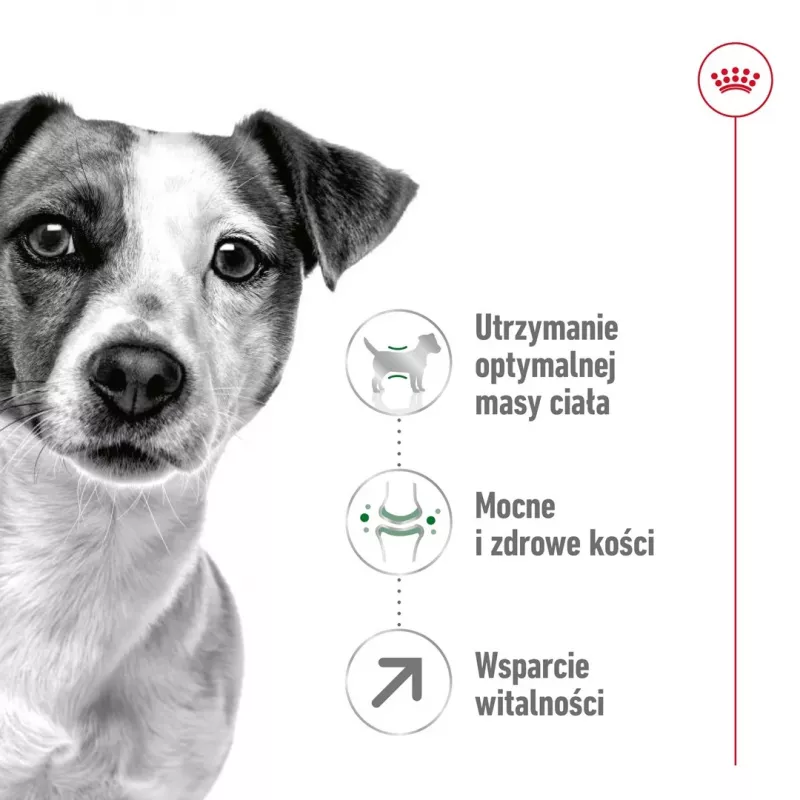 Trockenfutter für Hunde Royal Canin Mini Adult 8+ 2 kg — kleine Rassen 5–10 kg, Geflügel, gewichtskontrollierende Formel