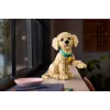 LEGO ICONS 11384 Golden Retriever Welpe