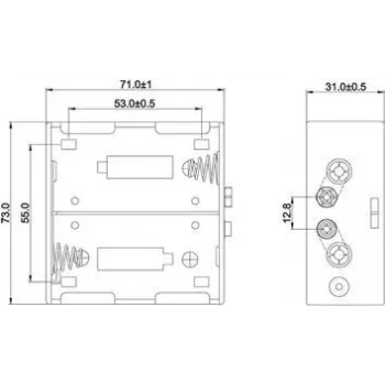 Wentronic 11452 Batterie Schwarz